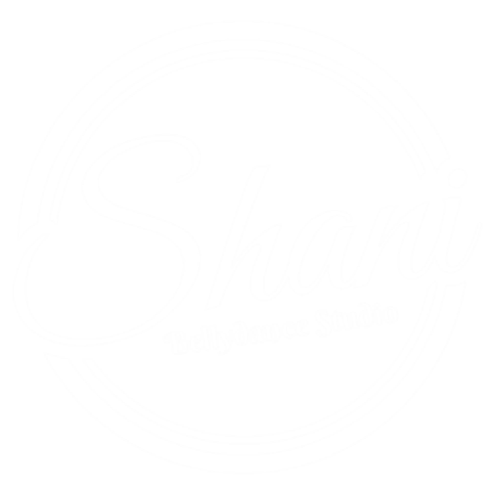 Shani BellyDance Studio